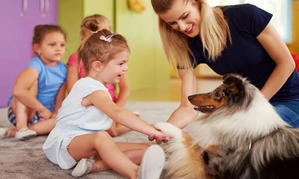 4 Clues Your Pet’s Limp Deserves A Veterinary Clinic Evaluation